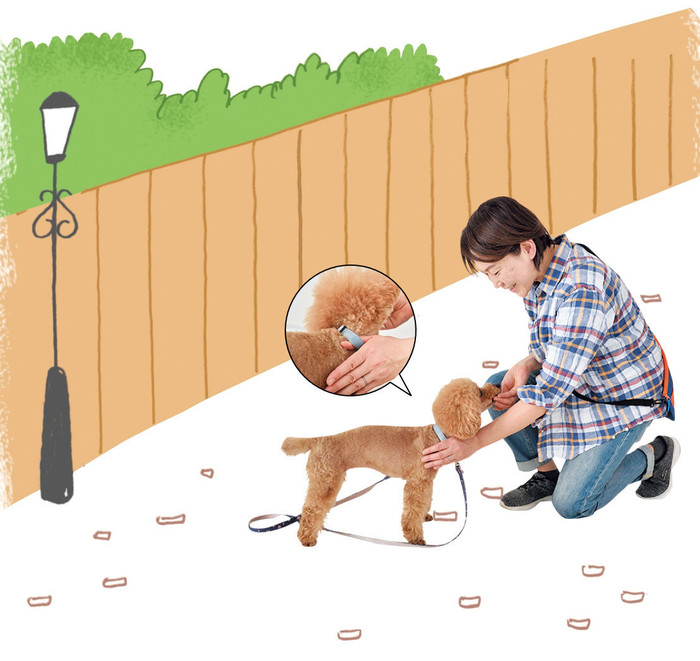 あ 危ない 愛犬の命を守るために知っておきたい とっさの対応 いぬのきもちnews Line News あ 危ない 愛犬の命を守るために知っておきたい とっさの対応 いぬのきもちnews Line News