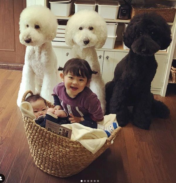 18年振り返り スタンプー兄弟と子どもたちの日常が素敵すぎ いぬのきもちnews Line News