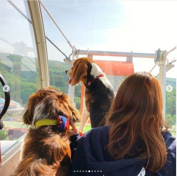 ドッグランつきで大満足 愛犬と行けるお出かけスポット 関東 いぬのきもちnews