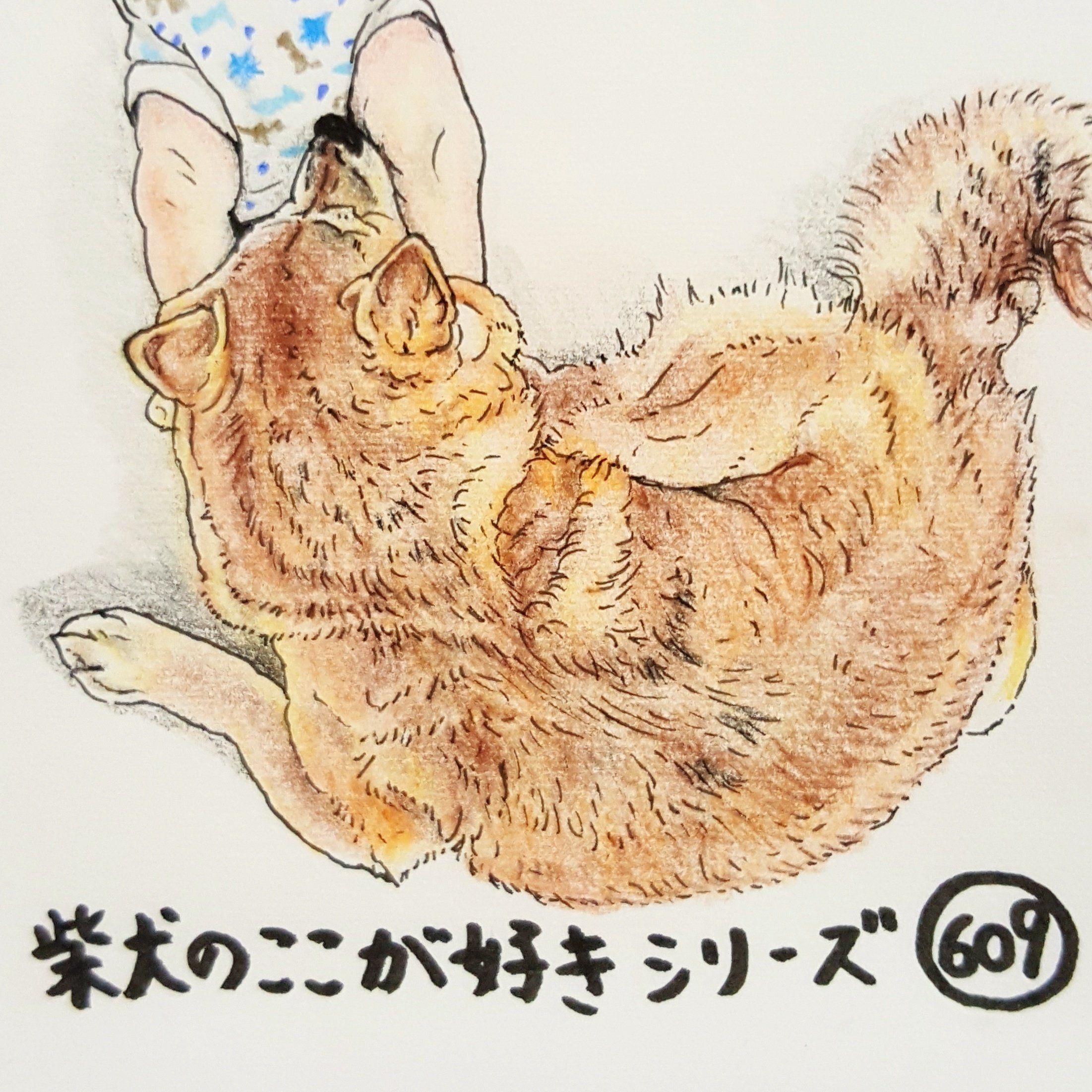 柴犬ハナと同じポーズで 連載 ここ掘れここ柴 Vol 9 いぬのきもちnews Line News 柴犬ハナと同じポーズで 連載 ここ掘れここ柴 Vol 9 いぬのきもちnews Line News