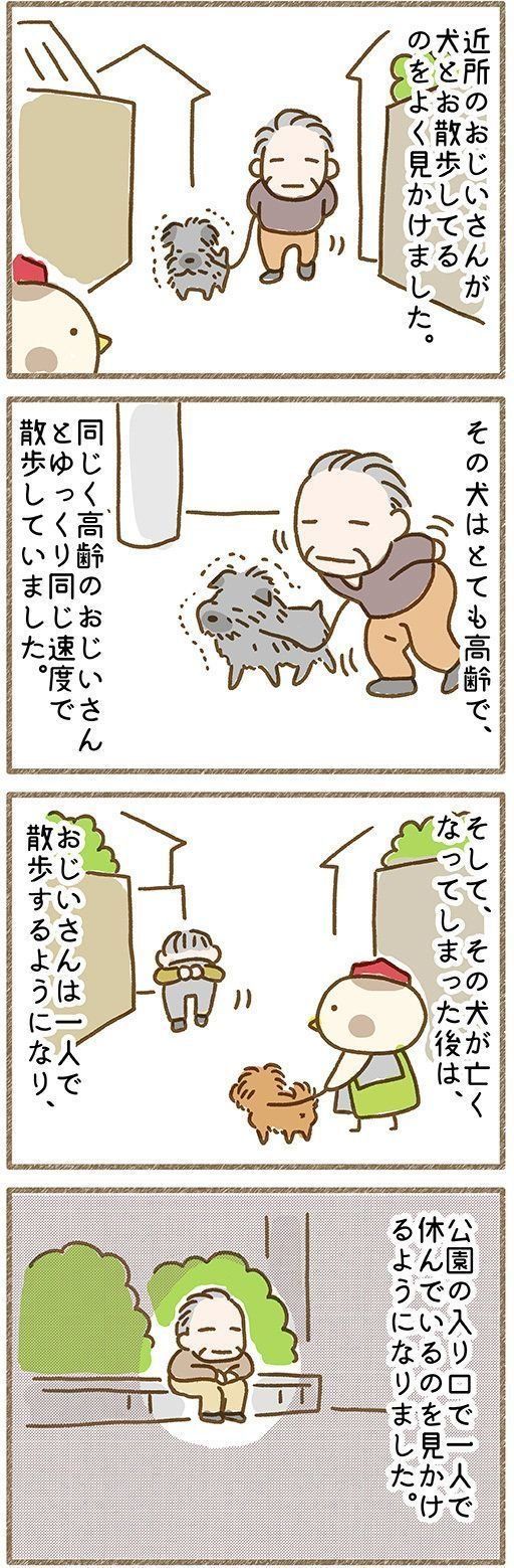 一人になってしまったおじいさんに愛犬が 連載 こぐま犬てんすけ Vol 25 いぬのきもちnews Line News 一人になってしまったおじいさんに愛犬が 連載 こぐま犬てんすけ Vol 25 いぬのきもちnews Line News