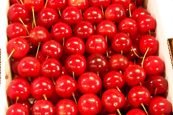 やんごとなき 皇室献上品 両陛下も収穫されたさくらんぼ Smartflash Line News