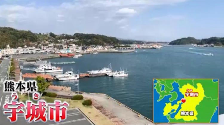 県のお墨付き 食の名人が作る トマトのくずもち や今すぐ試したいトマト料理が続々登場 昼めし旅 テレ東プラス Line News