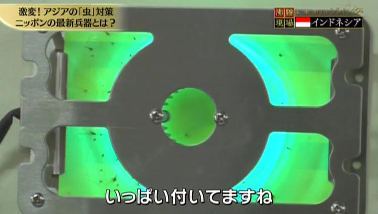 虫の侵攻を食い止めろ 世界を救う害虫対策 未来世紀ジパング テレ東プラス Line News