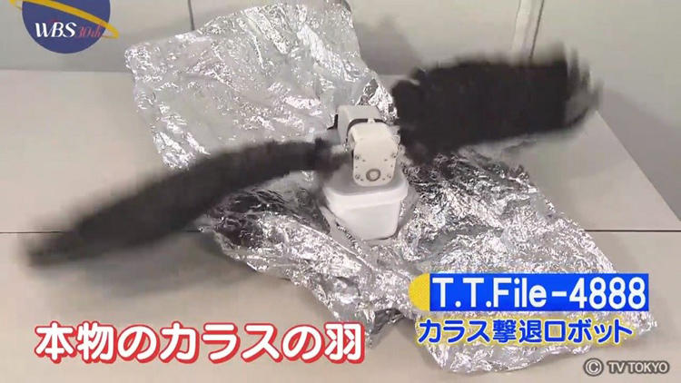 羽根も鳴き声もリアル カラス撃退ロボット Wbs テレ東プラス Line News