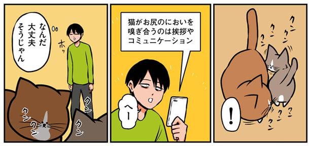 傷つけることでしかふれあえない 鴻池剛と猫のぽんた 6 レタスクラブ