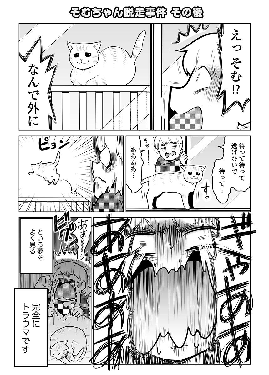 そむが死んじゃう トラウマになった そむちゃん脱走事件 タレ目猫そむ 2 連載 レタスクラブ Line News