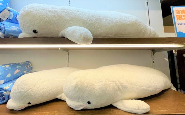 八景島 シロイルカ 特大 ぬいぐるみ