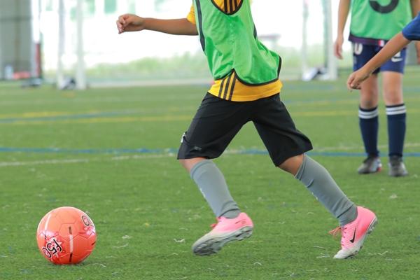 キックの指導で一番始めに教えるべき蹴り方とは 旧ユーゴスラビアの技術指導による強く正確なキックの習得方法 サカイク Line News