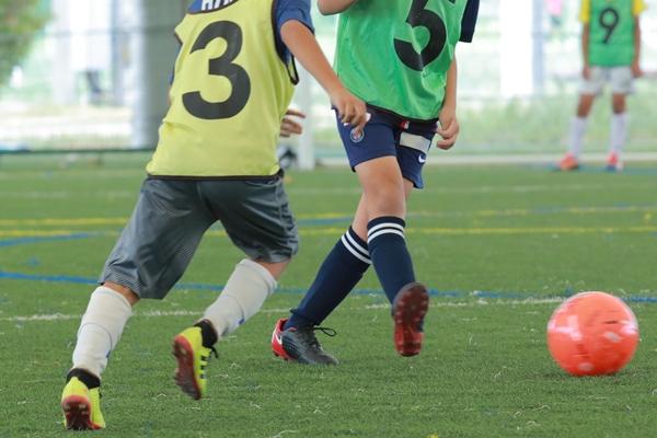 キックの指導で一番始めに教えるべき蹴り方とは 旧ユーゴスラビアの技術指導による強く正確なキックの習得方法 サカイク Line News