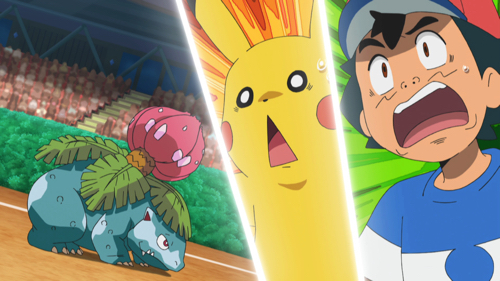 フシギバナ対モクロー 勝つのはどっち Tvアニメ ポケットモンスター サン ムーン 10月6日放送のあらすじ 先行カットが到着 超 アニメディア Line News