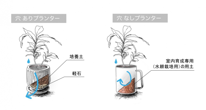 トラウマ克服 植物をよく枯らす ズボラさんと世話好きさん それぞれの原因と対策は Domani Line News