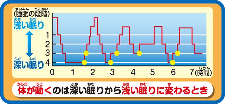 なぜ子どもは寝相が悪いの 教えて チコちゃん Domani なぜ子どもは寝相が悪いの 教えて チコちゃん Domani