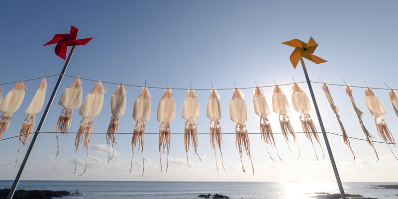 鯣 なんと読む 魚へんだけど寿司屋には多分ない 誰もが知ってるアレ Oggi Line News