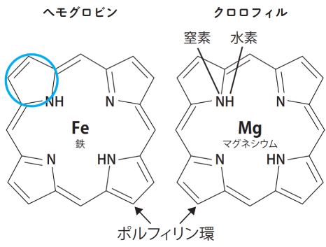 植物にも血液型がある これホント ウソ Oggi Line News
