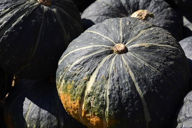 ナスは英語で 卵の植物 話のネタになる面白い野菜の英語名10 Chiik チーク Line News ナスは英語で 卵の植物 話のネタになる面白い野菜の英語名10 Chiik チーク Line News