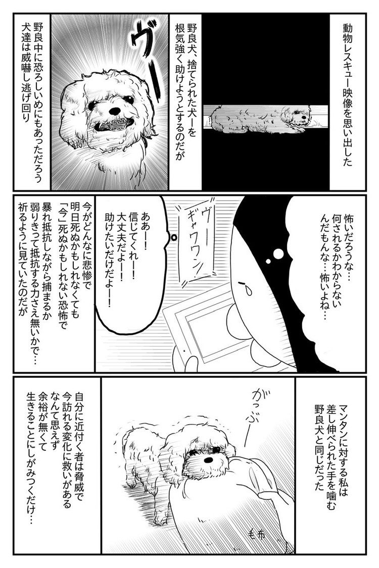 インドで優しい人を信じられなかった話 Note ノート Line News