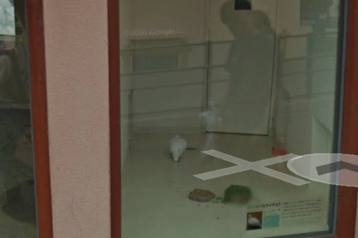 初めてのコンタクトレンズ Note ノート Line News