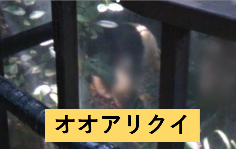 初めてのコンタクトレンズ Note ノート Line News