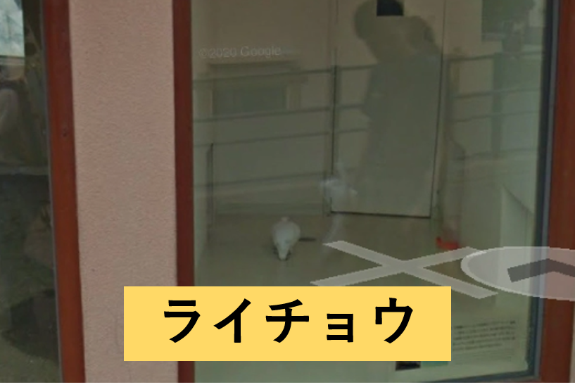 初めてのコンタクトレンズ Note ノート Line News