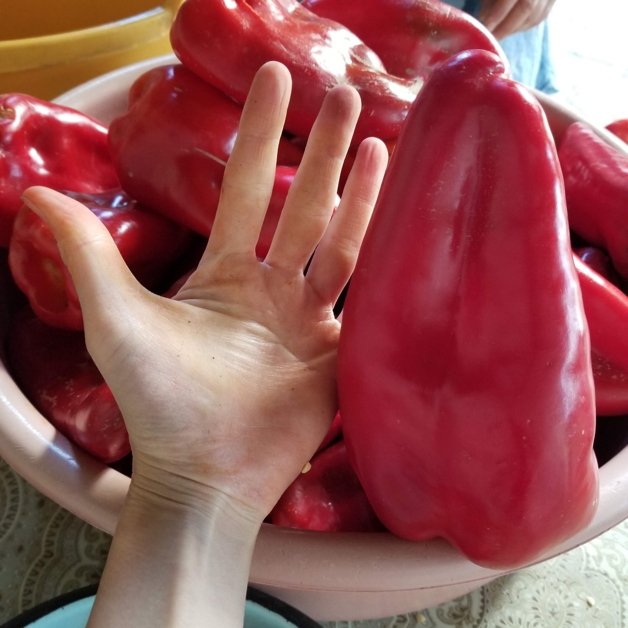 ブルガリアのパプリカ保存食 リュテニツァ は日本で作れるのか Note ノート