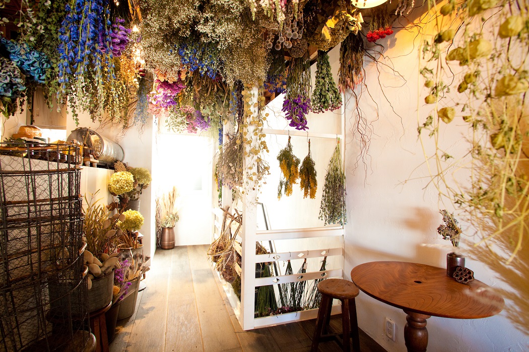 ドライフラワーに囲まれたカフェの、美しい「ゼリーポンチ」にうっとり（るるぶ&more.）