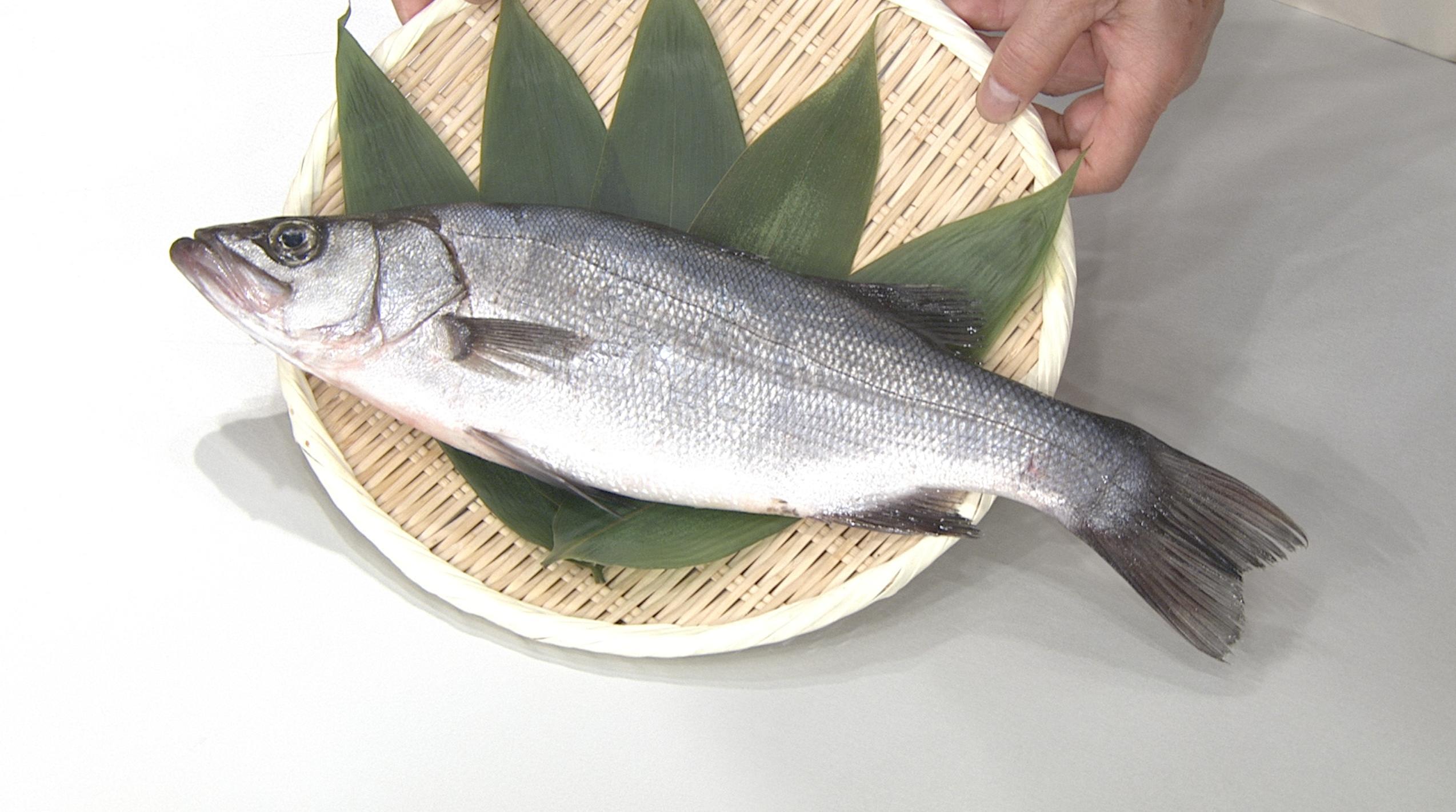 百合 はなぜ 百 に 合 という漢字なのか 意外と知らない 花の名前 の由来をリサーチ Mbsコラム Line News