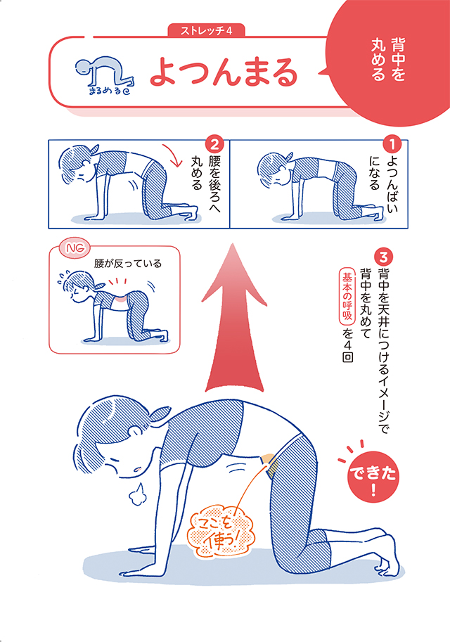 反り腰の改善に 背中を丸める よつんまる ストレッチ 1分やせストレッチ 4 毎日が発見 Line News