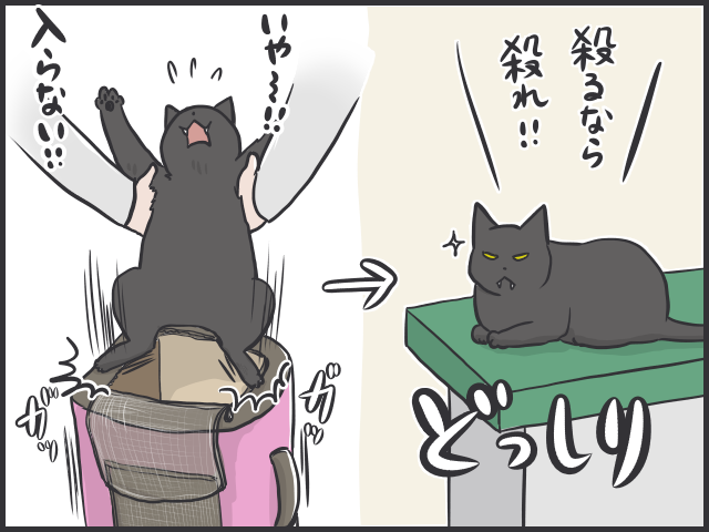 病院嫌いで大暴れ 猫の移動には洗濯ネットを活用すべし フニャコ 毎日が発見 Line News