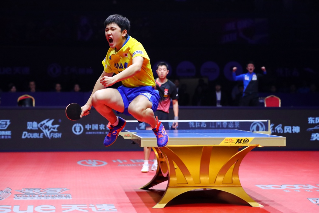 卓球 張本智和 モンスター アフロスポーツ プロの瞬撮 卓球 張本智和 モンスター アフロスポーツ プロの瞬撮