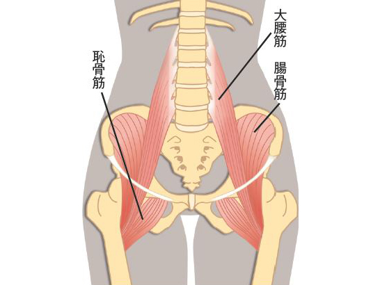 腸腰筋の鍛え方 使い方 美尻を作るカギ 理学療法士に聞いた 腸腰筋を使う２ステップ ヨガジャーナルオンライン Line News