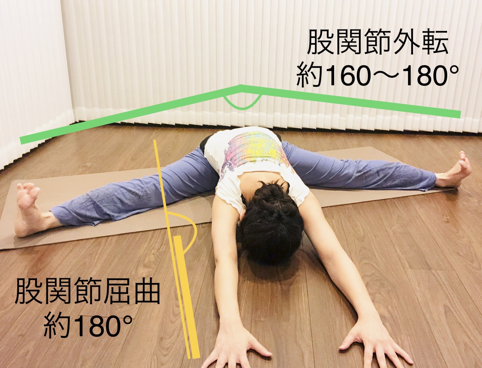 身体が柔らかすぎるのは危険 ヨガで必要な 運動機能の3要素 を理学療法士が解説 ヨガジャーナルオンライン Line News