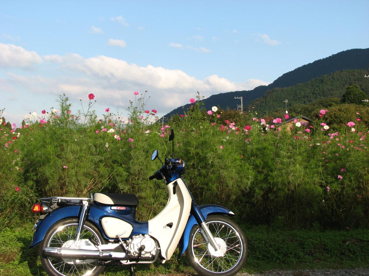 ホンダパルAF17奇跡の新車400キロ慣らし運転済最終値下げ