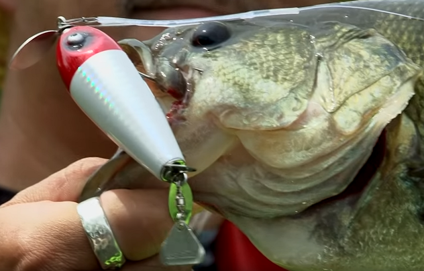 バスポンドが提唱したダイレクトリールやカヤックを使ったトップウォータースタイル特集 Fishing Japan Line News