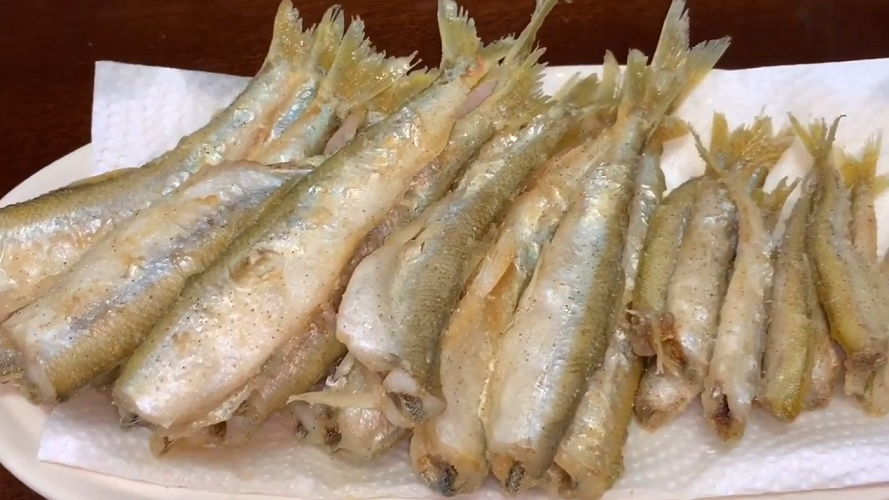 チカってどんな魚 北海道で盛んなチカ釣りをチェック おすすめのタックルや釣り方特集 Fishing Japan