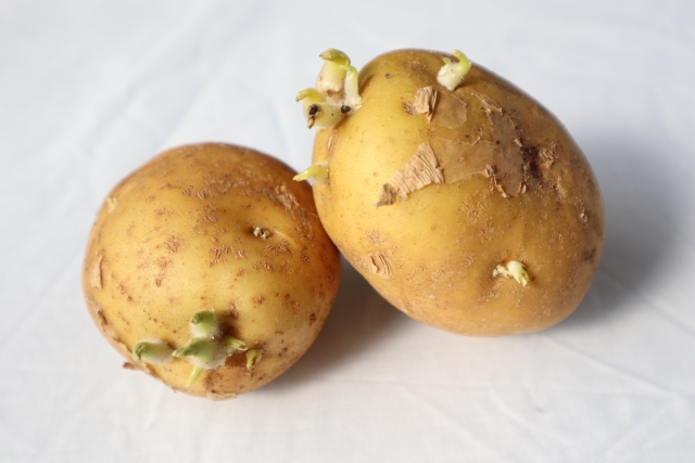 じゃがいもが緑やピンクに変色 これって食べられる 長持ちさせる方法も ウーマンエキサイト Line News