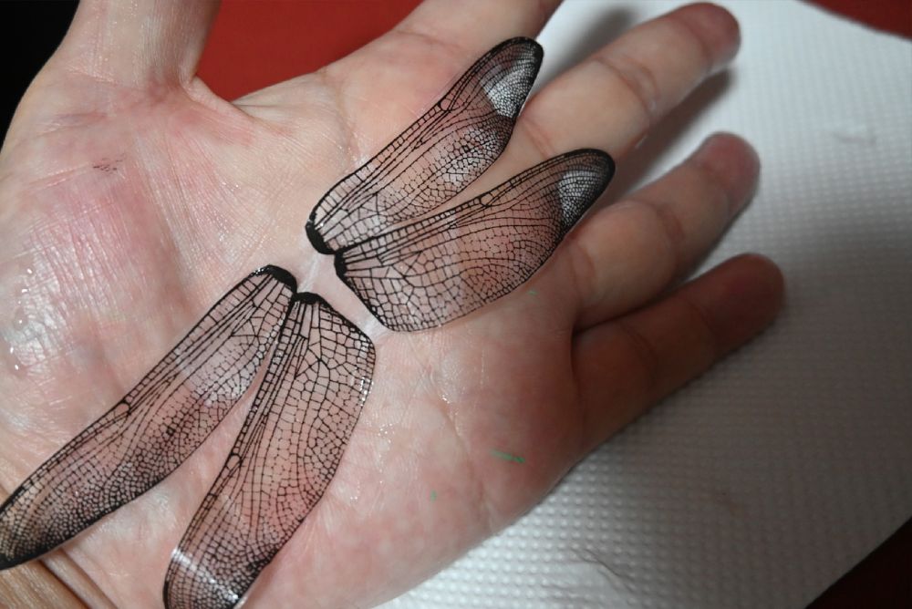 創意工夫はモノヅクリの醍醐味 100均アイテムとコンビニ印刷機で オニヤンマ を再現 おたくま経済新聞 Line News 創意工夫はモノヅクリの醍醐味 100均アイテムとコンビニ印刷機で オニヤンマ を再現 おたくま経済新聞 Line News