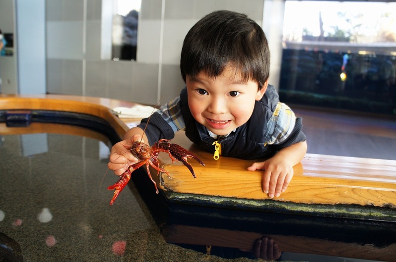 那須の幼児(3歳~5歳)におすすめのおでかけスポット14選