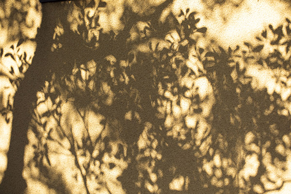 イライラもやもやした気持ちをリセットしたいならこの5つの方法を試してみて ハルメク Line News