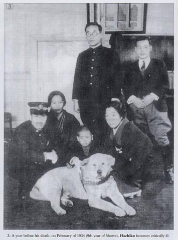 番犬はハチ公様用
