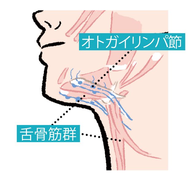 マスクたるみ の改善策 カンタン一分体操に虻川美穂子さんが挑戦 クロワッサン Online Line News