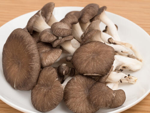 ひらたけ は隠れた絶品 美味しい食べ方や切り方 保存法 オリーブオイルをひとまわしニュース Line News ひらたけ は隠れた絶品 美味しい食べ方や切り方 保存法 オリーブオイルをひとまわしニュース Line News