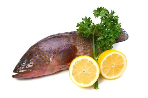 高級魚のハタ マハタ とは 栄養価や美味しい食べ方などを紹介 オリーブオイルをひとまわしニュース Line News