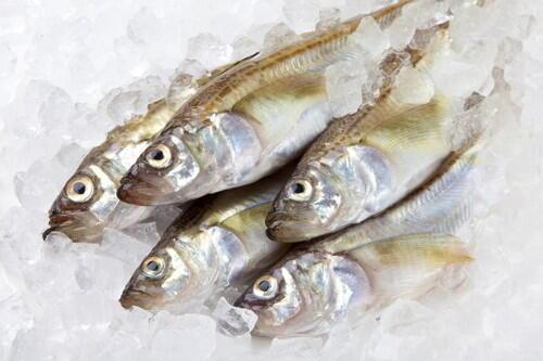 下処理はオスとメスで違う ハタハタ は基本の塩焼きがウマい オリーブオイルをひとまわしニュース Line News