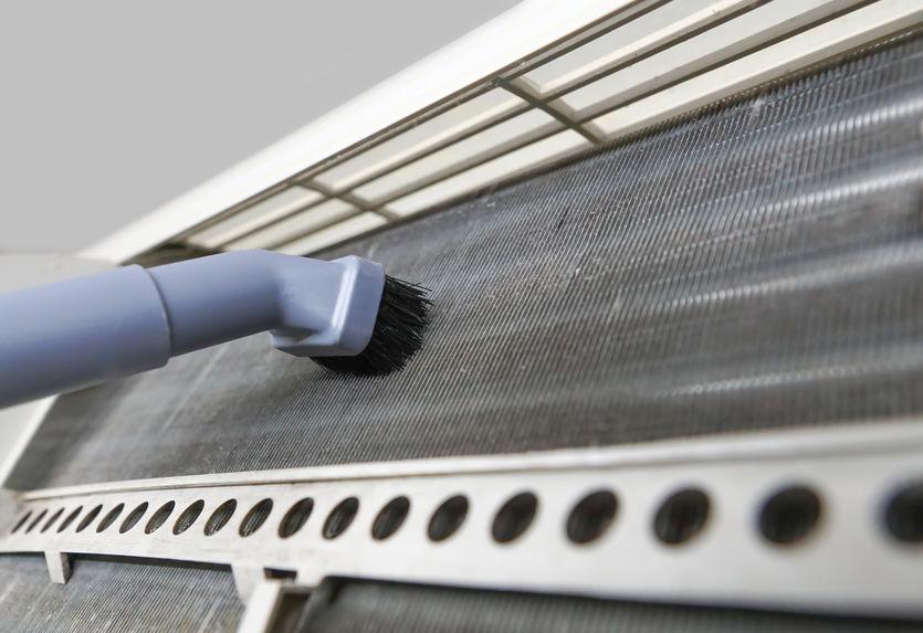 エアコンの変な音の原因は『虫』だった!?絶対にやってはいけないNG対処法とは(オリーブオイルをひとまわしニュース) エアコンの変な音の原因は『虫』だった!?絶対にやってはいけないNG対処法とは(オリーブオイルをひとまわしニュース)