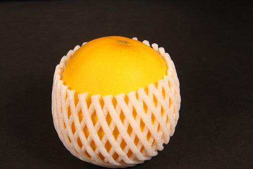 あなたは知っている キンショウメロン とは 特徴や食べごろ 保存方法を解説 オリーブオイルをひとまわしニュース