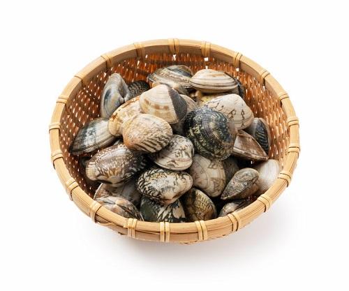 お湯を使って時短する方法も あさりの砂抜き を失敗させないコツとは オリーブオイルをひとまわしニュース