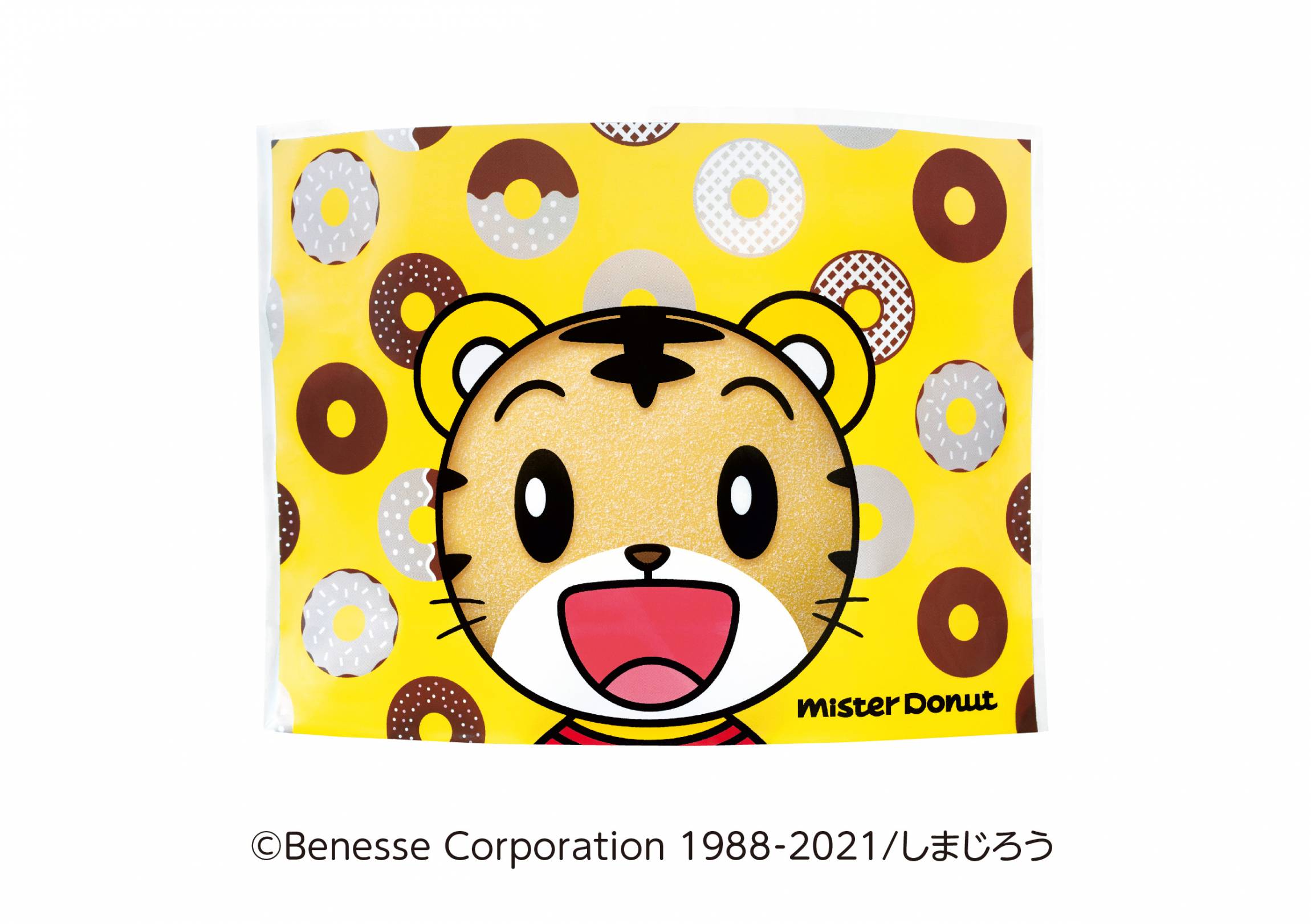 ZUMBA ズンバ DVD49枚 CD48枚 タオル 光る靴紐 ショップバッグ