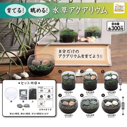 水草アクアリウムがガチャガチャに 鉢から種まで全部付きで 値段は1回300円