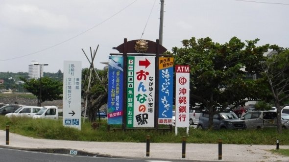 沖縄に行ったら食べたい ムール貝ウニソース 1円